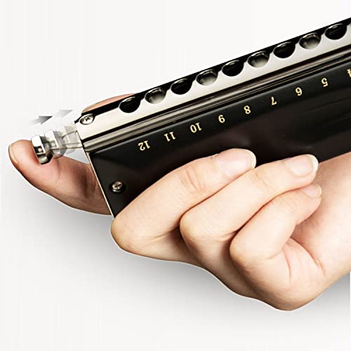 MEIeynt Harmonica diatonique en do, Harpe Blues Harmonica diatonique pour Orgue à Bouche clé en do 12 Trous Harmonica de… - Les Beatles, Paul McCartney, John Lennon, RIngo Starr, George Harrison MEIeynt Harmonica diatonique en do, Harpe Blues Harmonica diatonique pour Orgue à Bouche clé en do 12 Trous Harmonica de… – Image 6