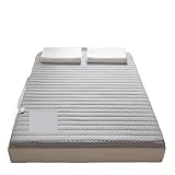 Colchoneta plegable reversible para invierno y verano para el hogar, dormitorio, uso en el suelo, gris oscuro, 90 x 190 x 4,5 cm, solución cómoda y ahorra espacio