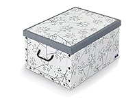 Algopix Similar Product 19 - Domopak Storage Box With Handles