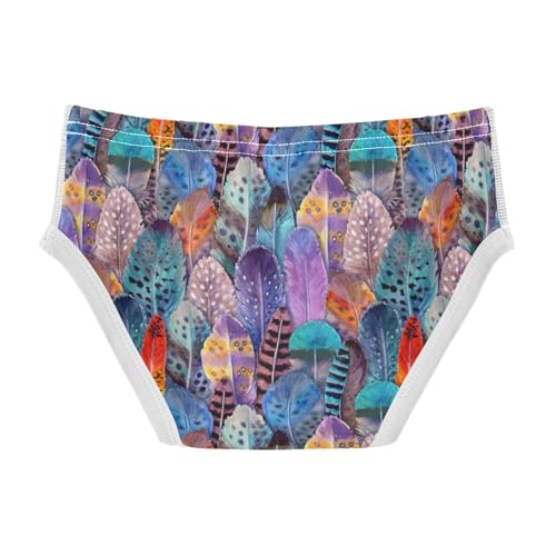 Boys' Exclusive Briefs Toddler Underwear 95% Combed Cotton Boxerbriefs 2T Colorful Feather Pattern 592