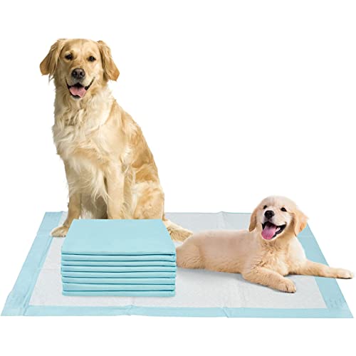Top 10 Puppy Pads With Adhesive of 2022 Katynel