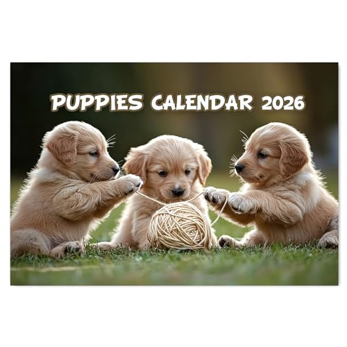 A4 Cute Puppies Calendar 2026 12 Month to View Wall Calendar 2026 Calendar Dog A3 When Open Papa Prints