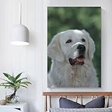 aaaaab Leinwandbild mit Tatra-Schäferhund, für Schlafzimmer, rustikale Badezimmerdekoration, 20 x 30 cm