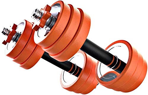 Gym Bench Home Fitness Dumbbells Adjustable Weights Stainless Steel Dumbbell with PVC Rubber Ring Padded Handle Ideal Strength