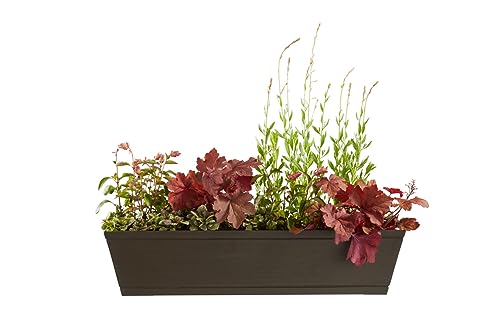 Windowbox 48in. Traditional Cedar Wood Planter with Cedar Wall Bracket Pair