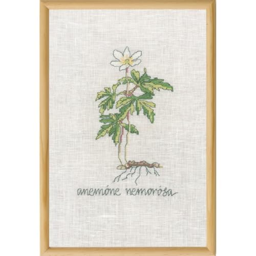 Kit per ricamo a punto croce motivo anemone bianco