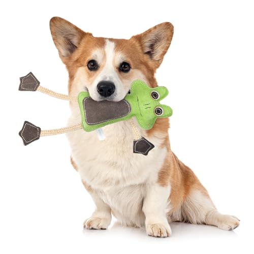 Emmi-pet Zerrspielzeug Frosch - Stressabbau für Hunde I Zahnpflege I Mit Kokosfaserfüllung I Ideal für für Welpen, mittelgroß & große Hunde I 1 Stück