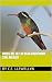 Birds We See in Baja California Sur, Mexico
