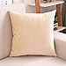 Charm4you 100% Fibra Larga Las Fundas de Almohada,Almohada de Color sólido cojín Funda de Almohada para sofá-Beige_70 * 70,Funda Almohada de Seda Natural