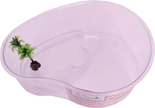 Jainsons-Turtle-House-Reptile-Carrier-with-Cover-and-Handle-Random-Colors-Large-Multicolor