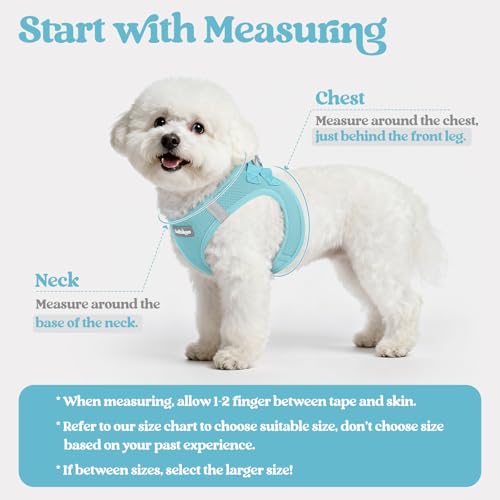 Image of rabbitgoo Dog Harness Medium Sized and Leash Set, Step-in Puppy Pet Vest