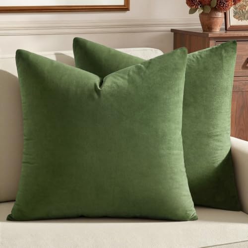 Image of MIULEE Velvet Throw Pillow Covers 20x20 Inch, Pack of 2 - Moss Green, Soft Solid Decorative Pillow Covers Cushion Cases Modern Luxury Home Decor for Spring Couch Sofa Bedroom Livingroom