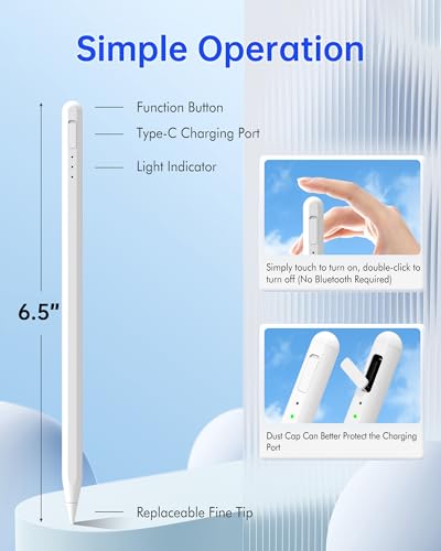 Stylet pour iPad compatible avec iPad Pro Air Mini charge rapide