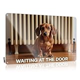 Bar Accessories - Letrero de lata con texto en inglés 'Man Cave A Dachshund Sits Patiently By The Door' (20 x 30 cm)