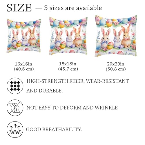 Housse de coussin velours lapin 50x50 cm pour protéger et embellir vos canapés