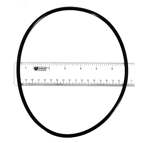 Astralpool - Carcasa de junta tĂłrica Astral 90-250-1012 77A1800050 Astralpool - Carcasa de junta tĂłrica Astral 90-250-1012 77A1800050