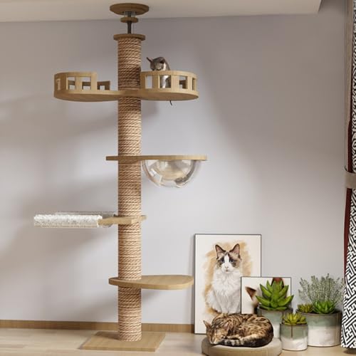 uDOGKINGv ^[Lbg,ؓo^[ FDnbNt VO Lbg^[ ˂ L^[ ȃXy[X,X ܂Ƃ Sꊪ ^s XgX x  萫ǂ Lc[ Lbgh Lbg|[,L