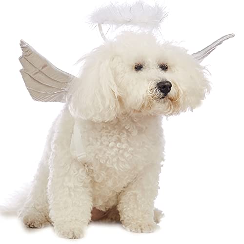 Disfraz de alas de ángel para perro pequeño Halloween