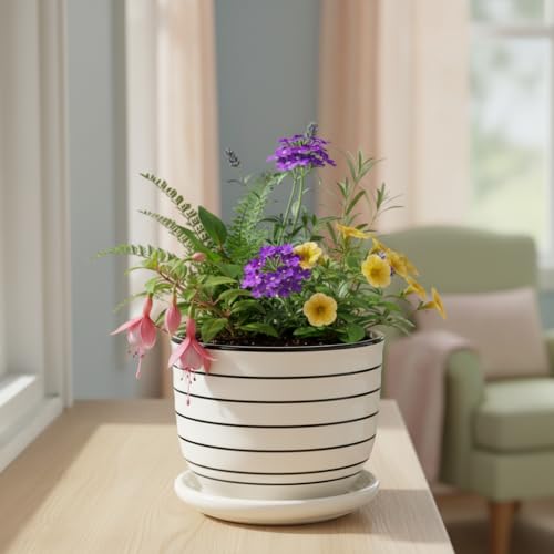 Image of Xtore Ceramic Striped Planter with Tray Figurine | Gloss Finish | for Home, Window & Office Decor - (Pack of 1, Planter ONLY)
