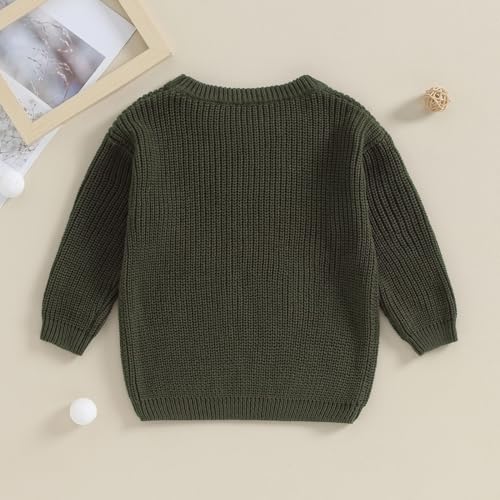 Toddler Baby Boy Fall Winter Big Little Brother Sweater Long Sleeve Embroidery Knit Infant Clothes4