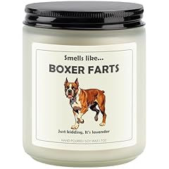 BOXER FARTS
