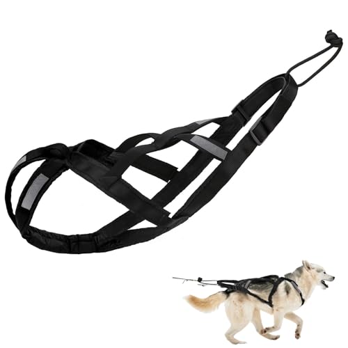 Pettorina per cani a X, per esercizi di slitta per cani da corsa di grandi dimensioni, per esercizi con la slitta, per esercizi con la slitta, Bikejoring Husky Canicross Scooter (nero, XL)