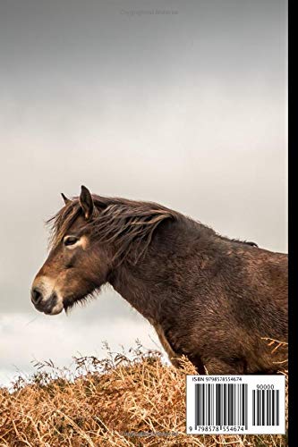 Exmoor Pony Notebook: Composition Notebook 6x9" Blank Lined Journal - Image 2