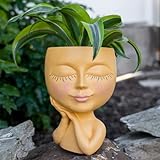 Head Planter - Whimsical Face Planter Pot with Drainage Hole, Plug, and Custom-Sized Plastic Liner f