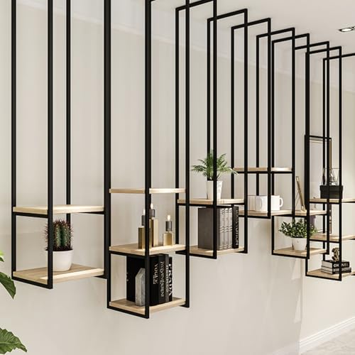 AYVADA Estante de Techo Estantes flotantes montados en el Techo Estante para vinos Estantería de Almacenamiento de decoración Soporte de Metal Negro, Estantes de exhibición de vegetación de 2 Capas