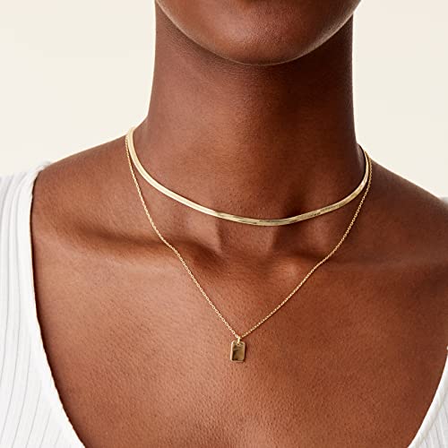 PAVOI 14K Gold Plated Layering Necklaces | Stylish Minimalist Design Pendant Necklaces | Bar, Lotus, Disc, Dog Tag, Horizontal Bar Pendants for Women2