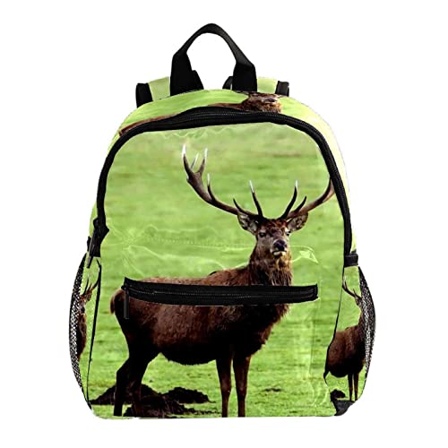 Sac à dos motif chat multicolore 3 avec bretelles confortables