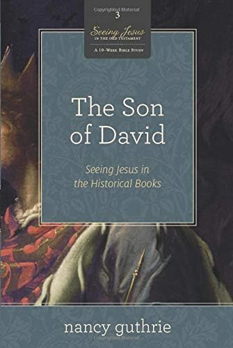 The Son of David: Seeing Jesus in the Historical Books: a 10-week Study