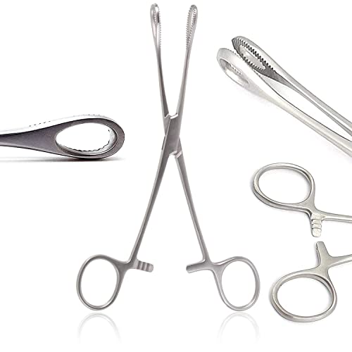 OdontoMed2011 6 Mini Sponge Body Piercing Forceps Foerster Sponge Forceps Locking Clamp Serrated Tips Straight Stainless Steel