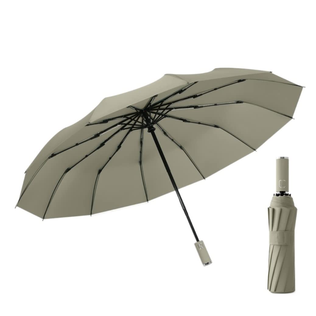 HLTYGWX Regenschirme für Regen, Regenschirm, Reise, faltbar, leicht, robust, automatischer Regenschirm, kompakt, tragbar, Regenschirm, Winddicht (Farbe: C)
