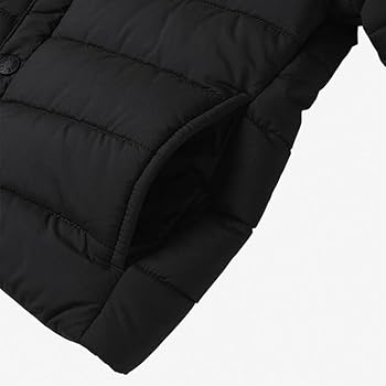 Amazon.co.jp: THE NORTH FACE ノースフェイス マイクロゼファー