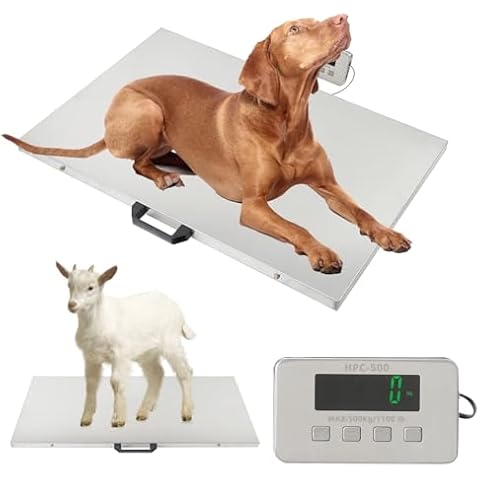 ExGizmo 1100LBS x 0.2LBS Livestock Digital Scale,31.5 x 20.9inch Large Platform Express Shipping Scale,Stainless Steel Electronic Ultrathin Vet Scale Digital Weight Scale Cover