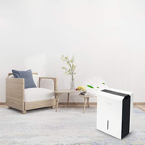 CLEVAST 1,500 Sq. Ft Energy Star Dehumidifier for Home, Basement, Living Room, Garage or Closet - Efficiently Removes Moisture,0.8 Gallons Removable Water Tank Capacity, UL Listed