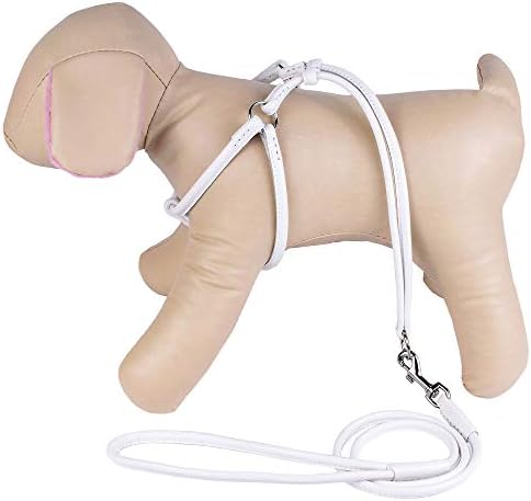CollarDirect Rolled Leather Dog Harness Small Puppy Step-in Leash Set for Walking Pink Red White Blue Green Black Purple Beige Brown Yellow (White, XS)