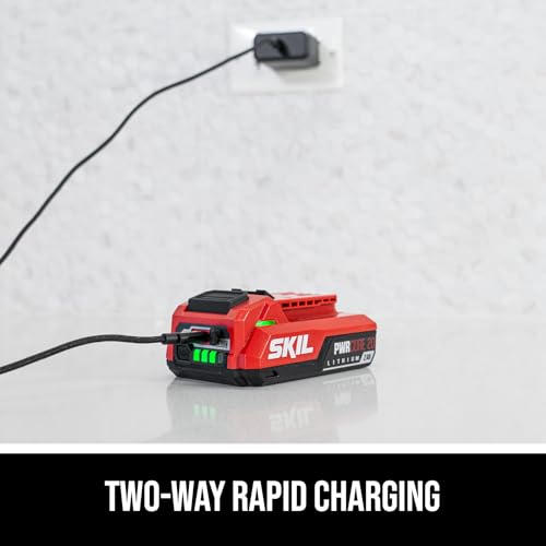 Image of SKIL 20V 2.0Ah USB Type-C Battery BY5100B-00