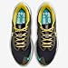 Nike Pegasus 39 Shield Men's Weatherized Road Running Shoes (FV8107-070, Black/Light Bone/Golden Beige/Vivid Sulfur) Size 12