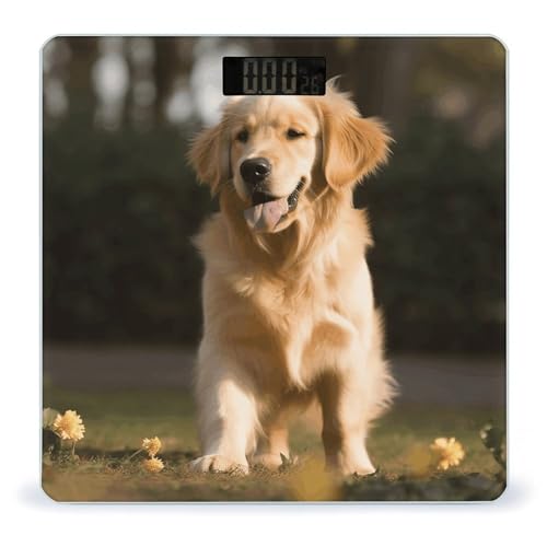 Báscula digital para perros Golden Retriever de 400 lb miniatura 1