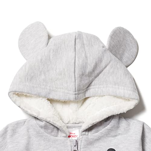 Disney Mickey Mouse Minnie Mouse Lion King Simba Fleece Zip Up Hoodie Newborn to Toddler4