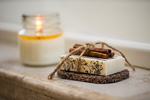 Aira Soap Saver - Soap Dish & Soap Holder Accessory - Bpa Free Shower & Bath Soap Holder - Drains Water, Circulates Air, Extends Soap Life - Easy To Clean, Fits All Soap Dish Sets - Bone Double Pack #TOP4