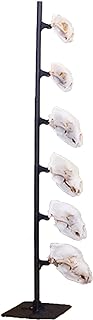 Skull Hooker Trophy Tree European Trophy Mount – Hang up to 5 Taxidermy Deer Antlers and Other Skulls for Display – Graphite Black