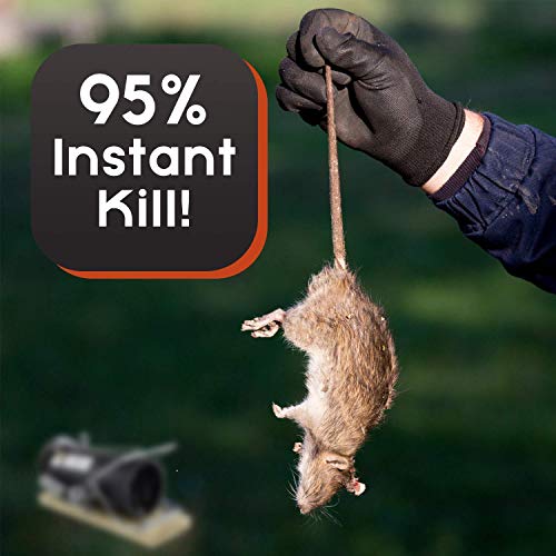 Squirrel Traps Outdoor - Squirrel Traps - Ouell Traps - Trap for Squirrels (Small)