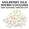 BE CREATIVE! CRAFT SUPPLIES STORE Mulberry Silk Worm Cocoons - Natural Undyed Cut - Jewelry Making - Wet Nuno Felting - Crafts – Handmade Accessories (50) #2