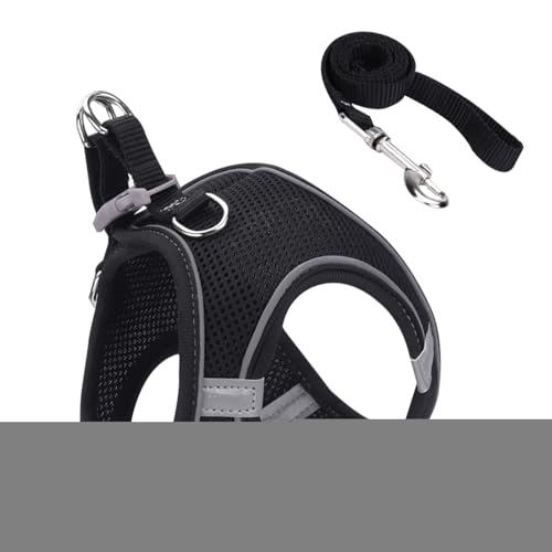 Gmokluytw Lbgn[lX | \ LpxXg^n[lX S݌v - ^ ^ ^ ybg xXgJ[ oR Lv AEghAp