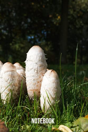 Coprin chevelu Notebook: blank lined composition journal | Coprin chevelu notebook | 100 pages
