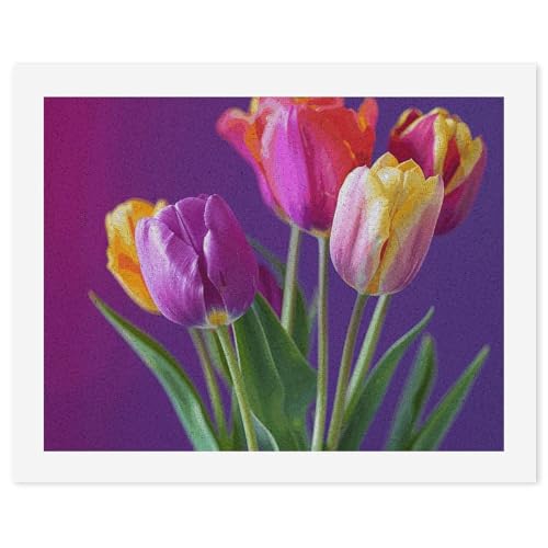 Kit de pintura por números adultos lienzo digital pintura al óleo principiantes flores