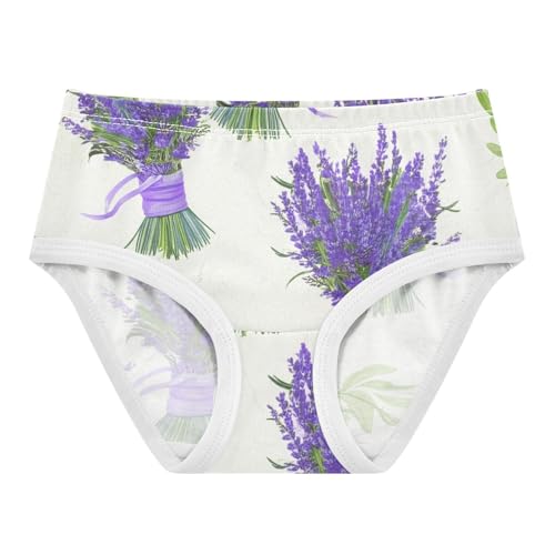 Girls Underwear Toddler 2t Cotton Panties Little Girl Pattern Briefs Underpants Lavender Bouquets Purple Floral White